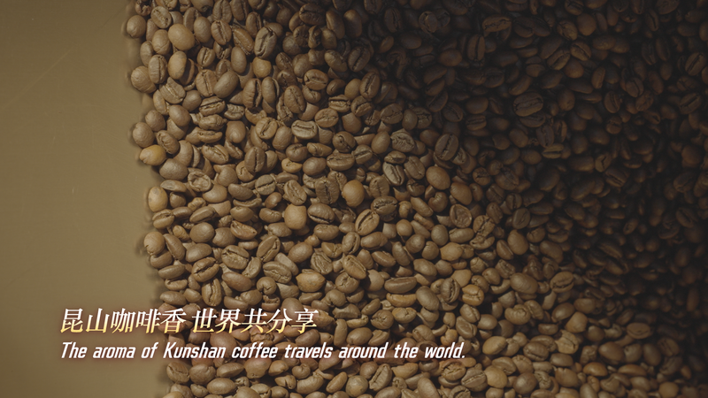 Kunshan_Coffee_Brews_the_Future__Precision_and_Innovation_in_Every_Cup - My Global News: Voices of a New Era Kunshan_Coffee_Brews_the_Future__Precision_and_Innovation_in_Every_Cup