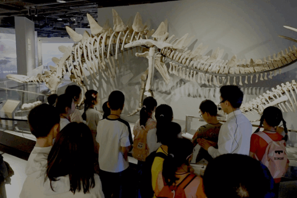 Live: Transformation of Chinese Museums at Sichuan University Museum Live__Transformation_of_Chinese_Museums_at_Sichuan_University_Museum video poster