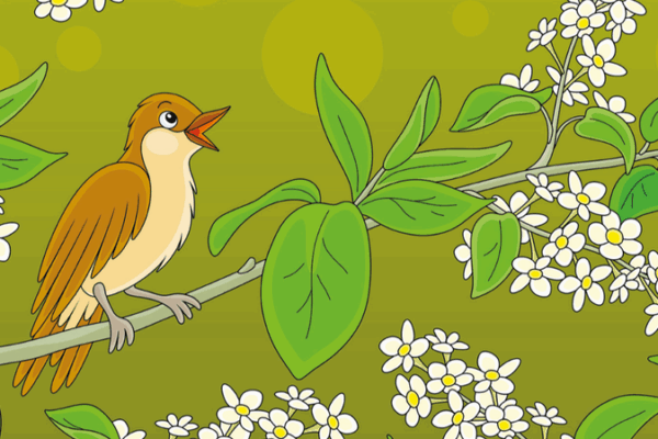 Rediscovering “The Nightingale”: Andersen’s Unique Tale in Chinese Splendor Rediscovering "The Nightingale": Andersen’s Unique Tale in Chinese Splendor