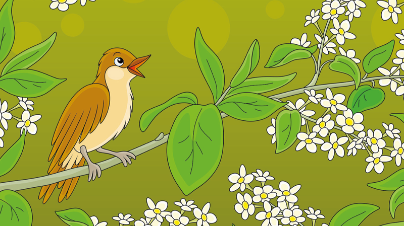 N5Z6O3DOW8G8TT1D0JTE - My Global News: Voices of a New Era Rediscovering "The Nightingale": Andersen’s Unique Tale in Chinese Splendor