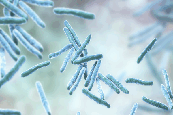 Novel Bacteria Tackle Five Pollutants in High-Salinity Wastewater Novel_Bacteria_Tackle_Five_Pollutants_in_High_Salinity_Wastewater