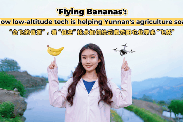 Flying Bananas: How Drones Are Revolutionizing Yunnan’s Farms Flying Bananas: How Drones Are Revolutionizing Yunnan’s Farms video poster