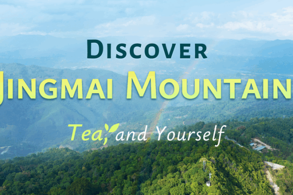 Rediscover Yourself in Jingmai Mountain’s Ancient Tea Forest Rediscover_Yourself_in_Jingmai_Mountain_s_Ancient_Tea_Forest video poster