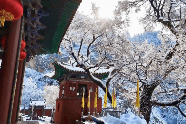 Spectacular Rime Scenery Unfolds at Hengshan Mountain Spectacular_Rime_Scenery_Unfolds_at_Hengshan_Mountain video poster