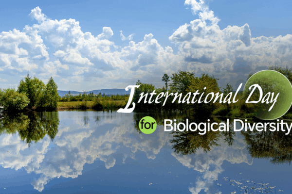 Tech Innovations Driving Global Biodiversity Conservation Tech_Innovations_Driving_Global_Biodiversity_Conservation