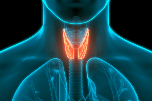 Thyroid Health Trends Soar on Xiaohongshu: Young Users Share Candid Journeys Thyroid_Health_Trends_Soar_on_Xiaohongshu__Young_Users_Share_Candid_Journeys