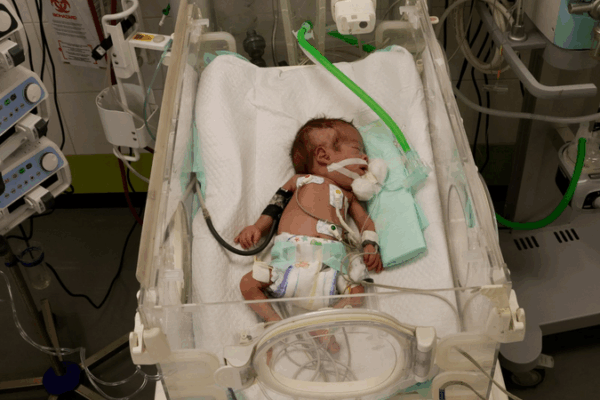UN Warns 14,000 Gaza Babies at Risk of Death Within 48 Hours UN_Warns_14_000_Gaza_Babies_at_Risk_of_Death_Within_48_Hours
