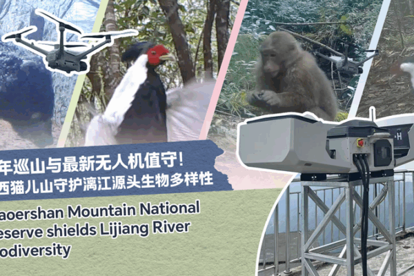 A Ranger’s Farewell: Protecting Mao’er Mountain’s Legacy A Ranger’s Farewell: Protecting Mao’er Mountain’s Legacy