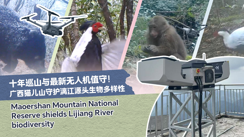 A Ranger’s Farewell: Protecting Mao’er Mountain’s Legacy