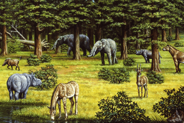 Vegetation Shifts Supercharged Late Miocene Climate Swings Vegetation_Shifts_Supercharged_Late_Miocene_Climate_Swings