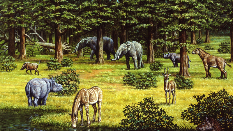 Vegetation_Shifts_Supercharged_Late_Miocene_Climate_Swings - My Global News: Voices of a New Era Vegetation_Shifts_Supercharged_Late_Miocene_Climate_Swings