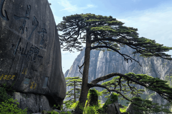 Huangshan’s Five Scenic Wonders Fuel Tourism Growth Huangshan’s Five Scenic Wonders Fuel Tourism Growth