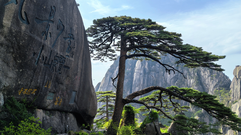 Huangshan’s Five Scenic Wonders Fuel Tourism Growth