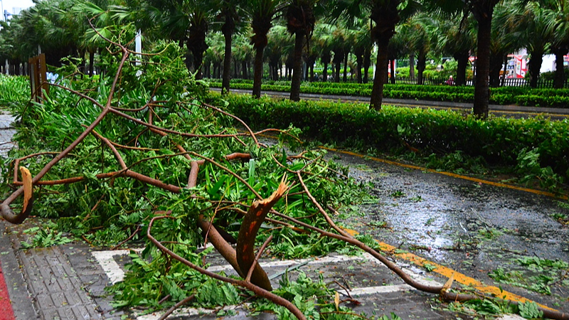 Typhoon Wutip prompts Level III flood response in Chinese mainland’s southern provinces