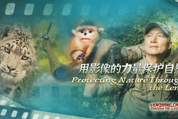 Through His Lens: Xi Zhinong’s 40-Year Quest to Protect Wildlife Through His Lens: Xi Zhinong’s 40-Year Quest to Protect Wildlife video poster