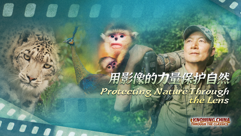 14VSX08WQUV6YUSA5W6M - My Global News: Voices of a New Era Through His Lens: Xi Zhinong’s 40-Year Quest to Protect Wildlife video poster