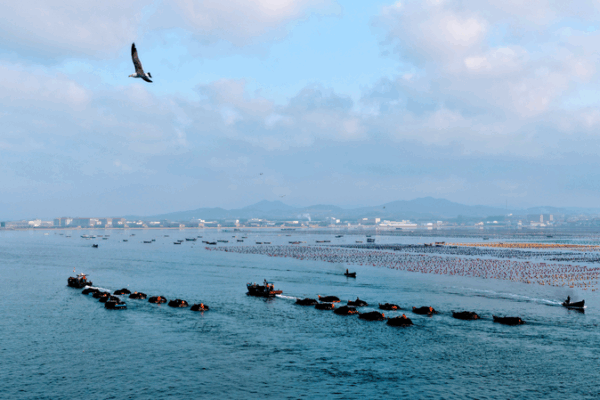 How Xi Jinping Charts the Chinese Mainland’s Maritime Rise How Xi Jinping Charts the Chinese Mainland’s Maritime Rise