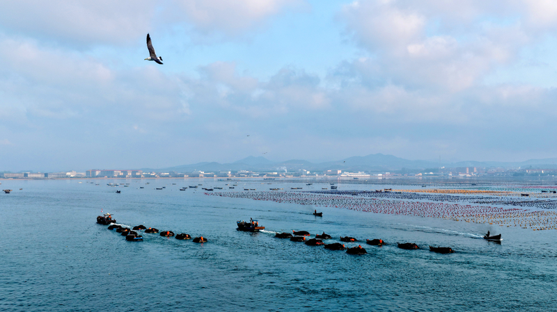 34GWIQM3LFHX3QWQYSVD - My Global News: Voices of a New Era How Xi Jinping Charts the Chinese Mainland’s Maritime Rise