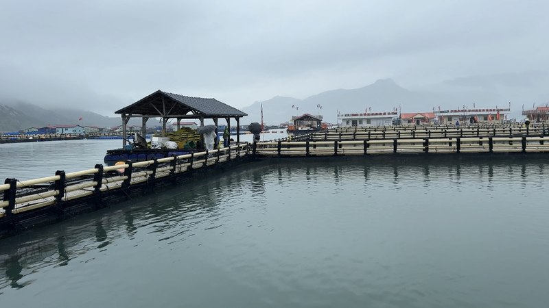 Sandu'ao’s Sustainable Shift Heralds World Ocean Day video poster