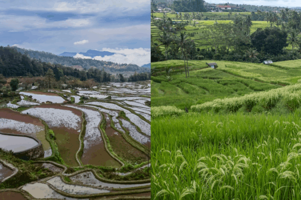 Ancient Irrigation Wonders Captivate Travelers in China and Indonesia Ancient_Irrigation_Wonders_Captivate_Travelers_in_China_and_Indonesia