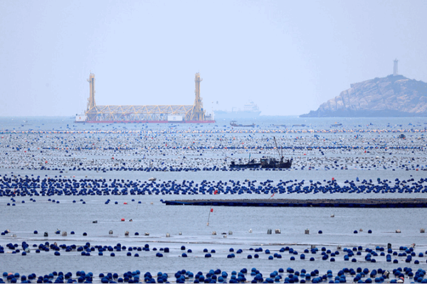 Blue Carbon: Ocean’s Secret Weapon Against Climate Change Blue_Carbon__Ocean_s_Secret_Weapon_Against_Climate_Change