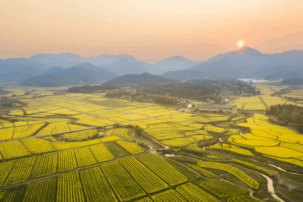 Changsha to Host 2025 Cultural and Natural Heritage Day Changsha_to_Host_2025_Cultural_and_Natural_Heritage_Day