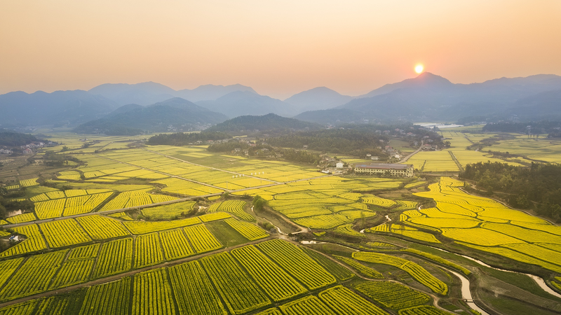 Changsha_to_Host_2025_Cultural_and_Natural_Heritage_Day