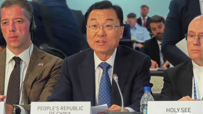 China_Champions_South_South_Cooperation_at_OAS_Assembly