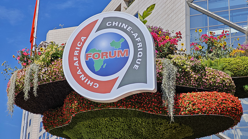 China_and_Africa_Unite_in_Changsha_to_Drive_FOCAC_Summit_Outcomes - My Global News: Voices of a New Era China_and_Africa_Unite_in_Changsha_to_Drive_FOCAC_Summit_Outcomes