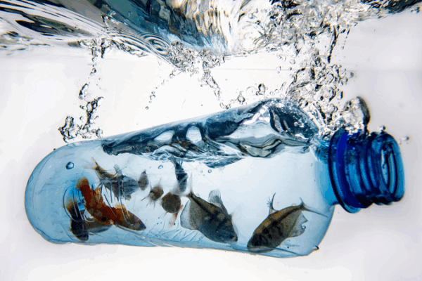 China and Africa Unite to Beat Plastic Pollution on World Environment Day China_and_Africa_Unite_to_Beat_Plastic_Pollution_on_World_Environment_Day