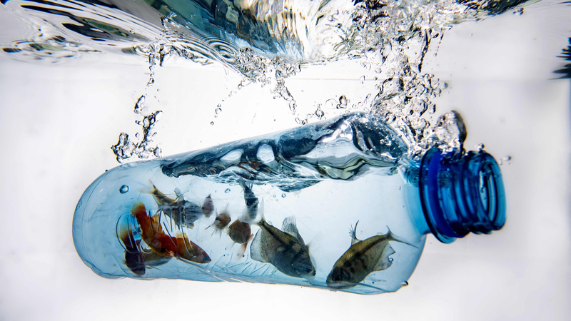 China_and_Africa_Unite_to_Beat_Plastic_Pollution_on_World_Environment_Day - My Global News: Voices of a New Era China_and_Africa_Unite_to_Beat_Plastic_Pollution_on_World_Environment_Day