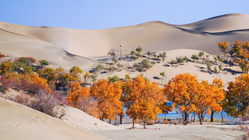 China_and_Central_Asia_Unite_to_Transform_Deserts_into_Oases - My Global News: Voices of a New Era China_and_Central_Asia_Unite_to_Transform_Deserts_into_Oases