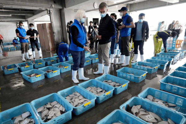 Chinese Mainland to Resume Japanese Seafood Imports Under Strict Safety Monitoring Chinese_Mainland_to_Resume_Japanese_Seafood_Imports_Under_Strict_Safety_Monitoring