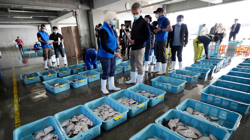 Chinese_Mainland_to_Resume_Japanese_Seafood_Imports_Under_Strict_Safety_Monitoring - My Global News: Voices of a New Era Chinese_Mainland_to_Resume_Japanese_Seafood_Imports_Under_Strict_Safety_Monitoring