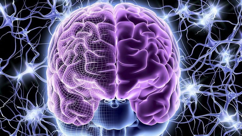 Chinese Researchers Pioneer 3D Hydrogel to Repair Brain Injuries Chinese_Researchers_Pioneer_3D_Hydrogel_to_Repair_Brain_Injuries