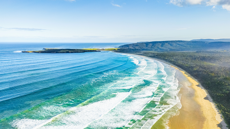 Discover The Catlins in New Zealand: Streamlined Entry for Chinese Visitors Discover_The_Catlins_in_New_Zealand__Streamlined_Entry_for_Chinese_Visitors