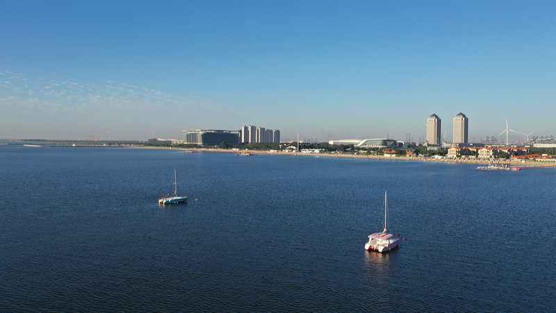 Tianjin’s Dongjiang Hub Hits 1,000-Vessel Leasing Milestone