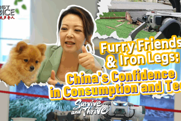 Furry Frenzy Meets Iron Legs: Pet Economy and Robot Dogs Propel Chinese Mainland’s Growth Furry_Frenzy_Meets_Iron_Legs__Pet_Economy_and_Robot_Dogs_Propel_Chinese_Mainland_s_Growth video poster