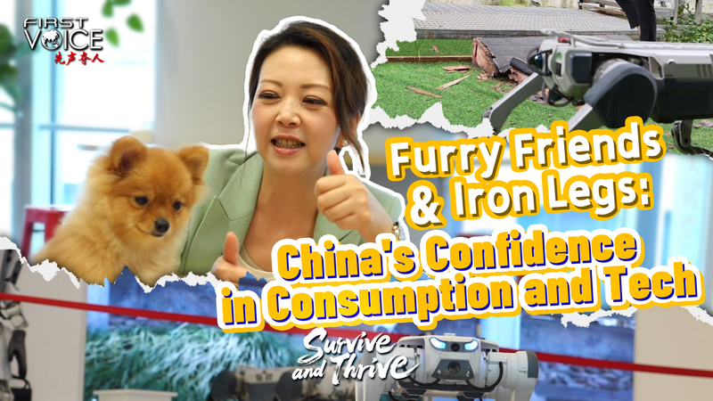 Furry_Frenzy_Meets_Iron_Legs__Pet_Economy_and_Robot_Dogs_Propel_Chinese_Mainland_s_Growth_poster - My Global News: Voices of a New Era Furry_Frenzy_Meets_Iron_Legs__Pet_Economy_and_Robot_Dogs_Propel_Chinese_Mainland_s_Growth video poster