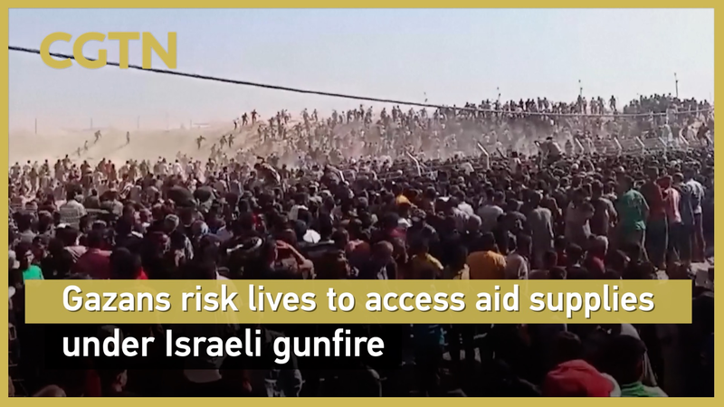 Gazans Risk Lives for Aid Under Israeli Gunfire Gazans_Risk_Lives_for_Aid_Under_Israeli_Gunfire video poster