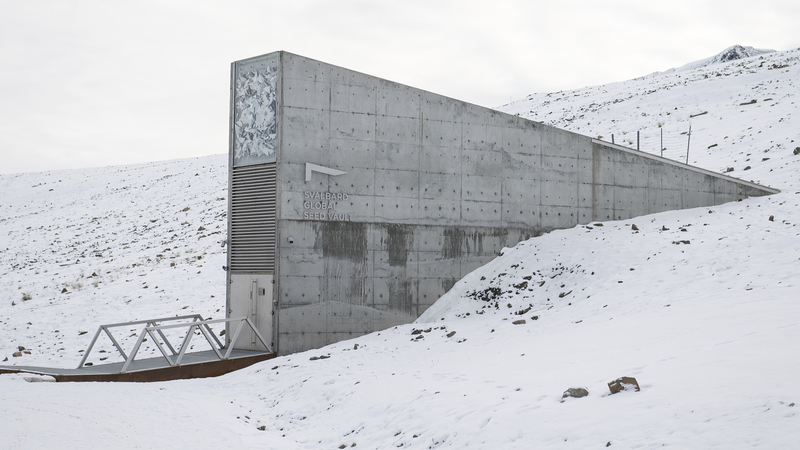 Global_Gene_Banks_Deposit_Over_11_200_Seeds_in_Svalbard_Vault - My Global News: Voices of a New Era Global_Gene_Banks_Deposit_Over_11_200_Seeds_in_Svalbard_Vault