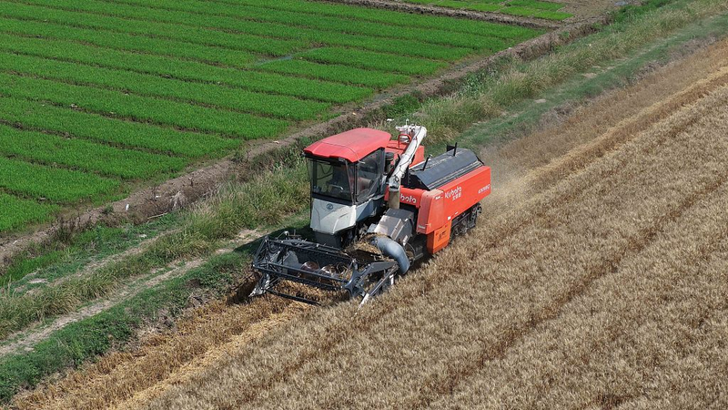 Grain in Ear Brings Planting Rush as Plum Rains Arrive Grain_in_Ear_Brings_Planting_Rush_as_Plum_Rains_Arrive