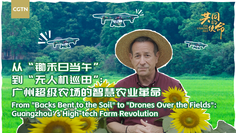 Guangzhou_s_Smart_Farm_Revolution__Tech_Meets_Agriculture video poster