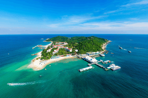 Underwater Wonders: Wuzhizhou Island’s Marine Ranch Revives Coral Reefs Underwater Wonders: Wuzhizhou Island’s Marine Ranch Revives Coral Reefs video poster