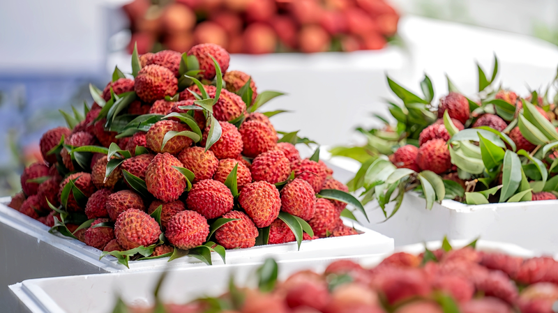 Haikou_s_Volcanic_Lychees_Drive_Rural_Revitalization - My Global News: Voices of a New Era Haikou_s_Volcanic_Lychees_Drive_Rural_Revitalization