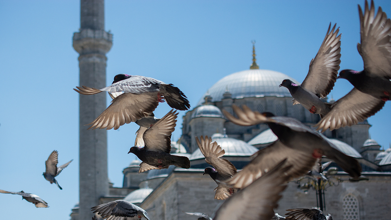 Historic_Venue_Readies_for_Ukraine_Russia_Peace_Talks_poster - My Global News: Voices of a New Era Historic_Venue_Readies_for_Ukraine_Russia_Peace_Talks video poster