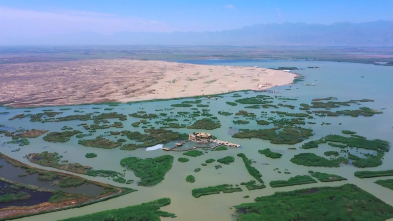 How Straw Grids Are Greening the Tengger Desert How_Straw_Grids_Are_Greening_the_Tengger_Desert video poster