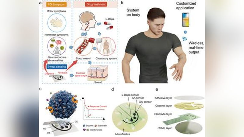 I0N0CQ7F3B7FQ5KO8IFA - My Global News: Voices of a New Era New Sweat Sensor Patch Offers Early Parkinson’s Alerts