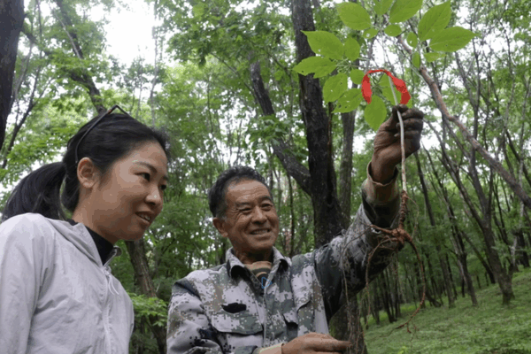 Ji’an’s One Village Revolution: A Blueprint for Sustainable Growth Ji_an_s_One_Village_Revolution__A_Blueprint_for_Sustainable_Growth video poster