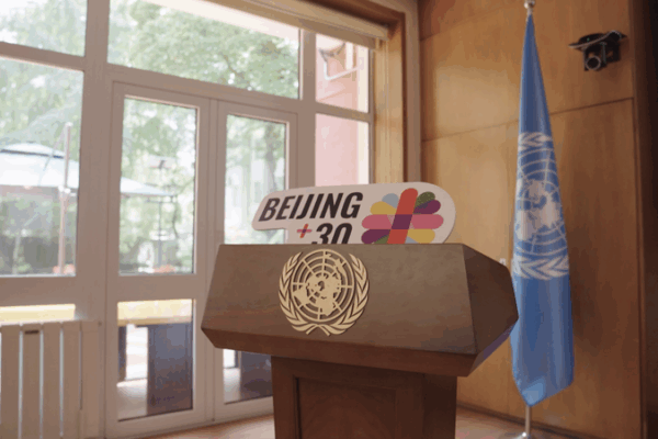 Kenya Celebrates 30 Years of Gender Equality at Beijing+30 Dialogue Kenya_Celebrates_30_Years_of_Gender_Equality_at_Beijing_30_Dialogue video poster